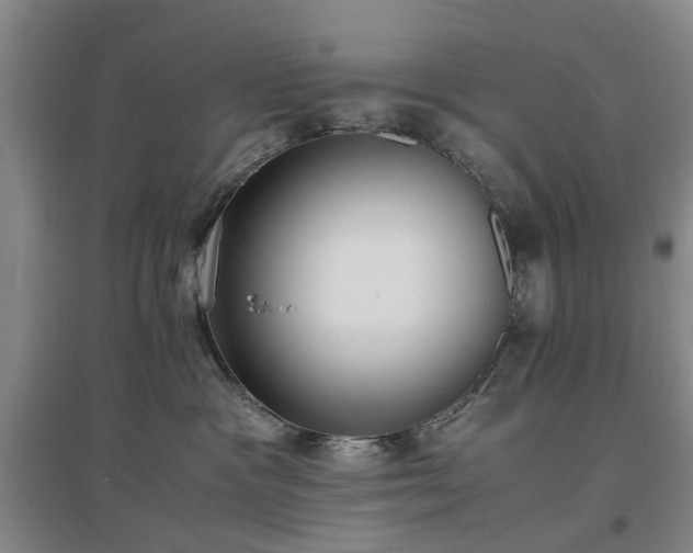 X0000096980333200802151336