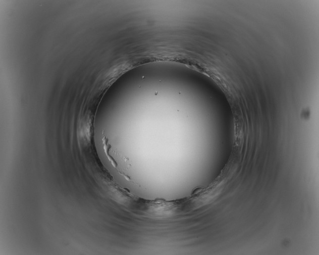 X0000096980334200802151336