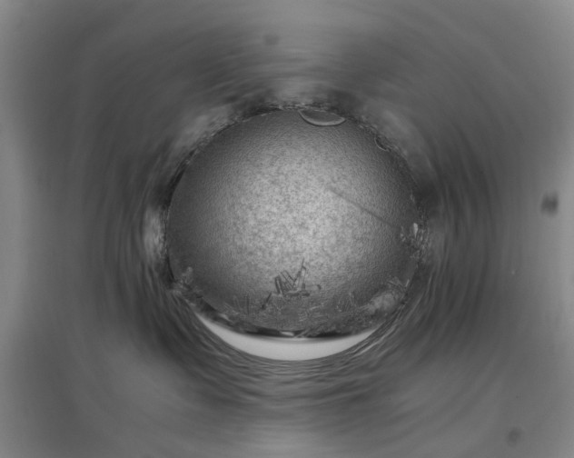 X0000096980335200802151336