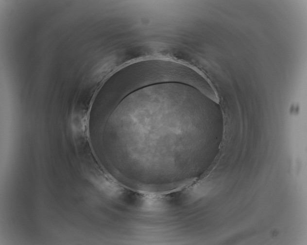 X0000096980336200802151336