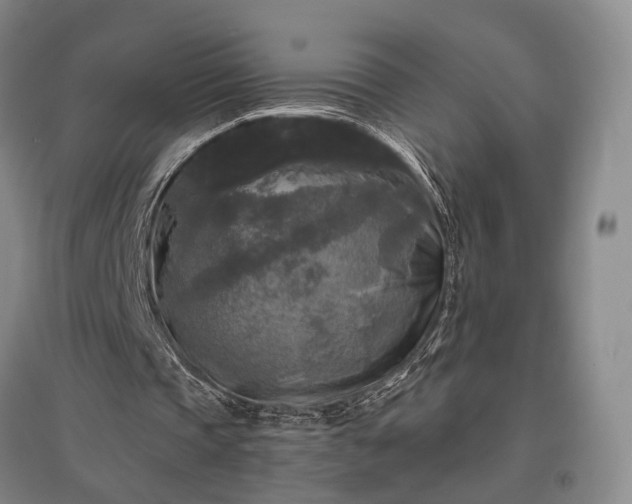 X0000096980337200802151335