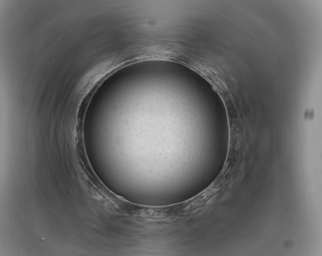 X0000096980338200802151335