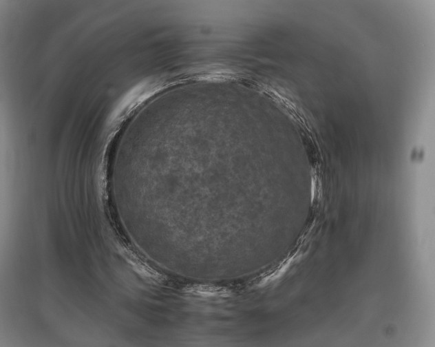 X0000096980339200802151335