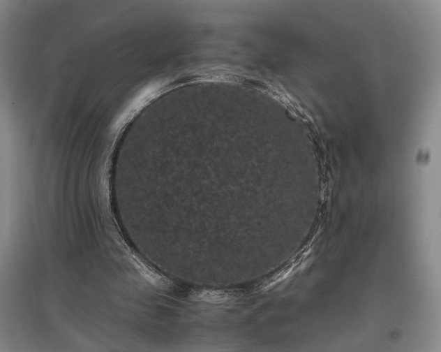 X0000096980341200802151335