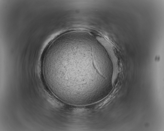 X0000096980342200802151335