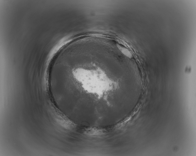 X0000096980343200802151335