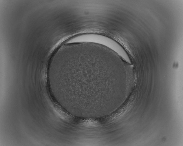 X0000096980348200802151335