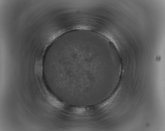 X0000096980349200802151335