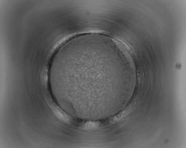 X0000096980350200802151335