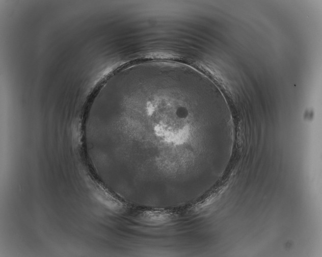 X0000096980351200802151335