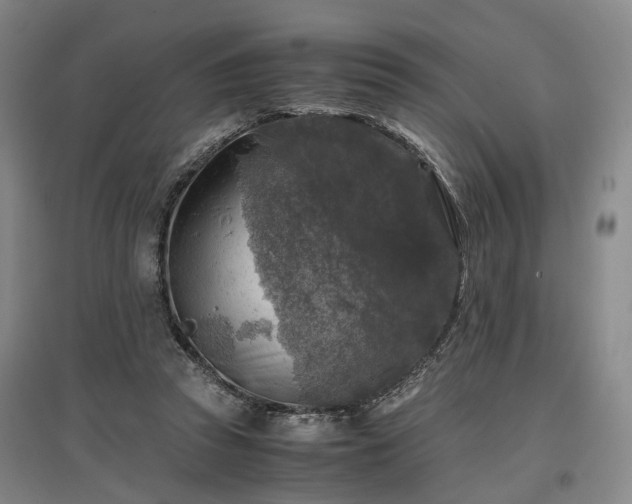 X0000096980353200802151335