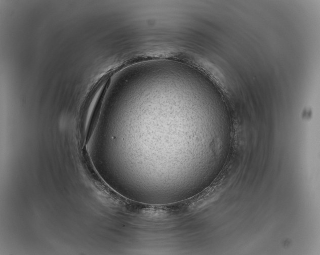 X0000096980354200802151335