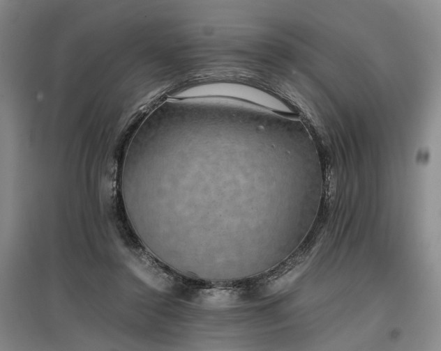 X0000096980356200802151335