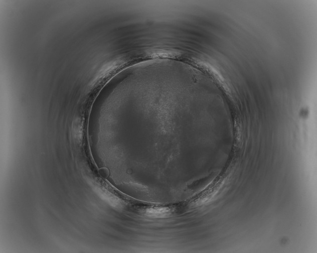 X0000096980357200802151335