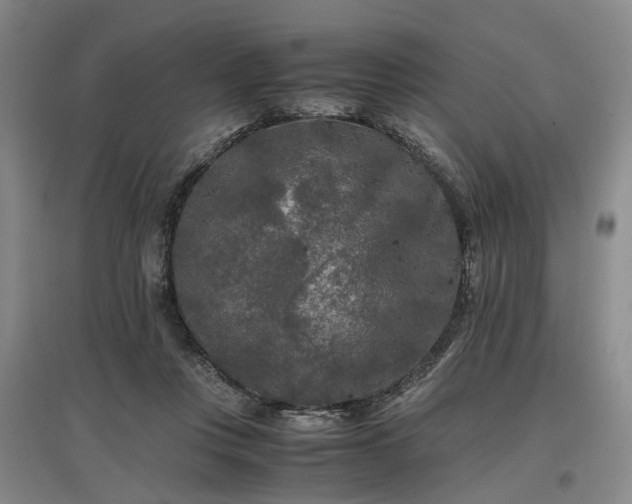 X0000096980359200802151335