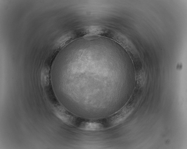 X0000096980360200802151335