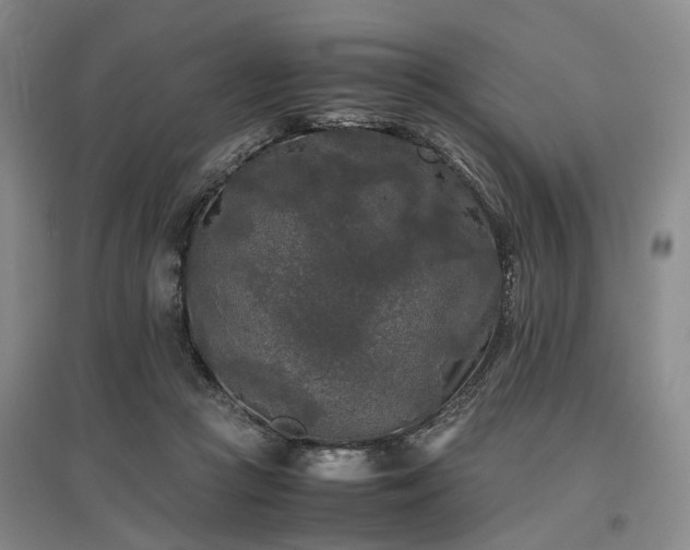 X0000096980361200802151335