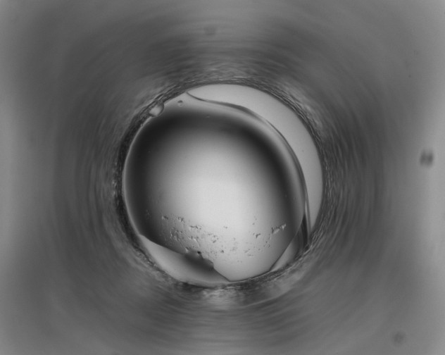 X0000096980362200802151335