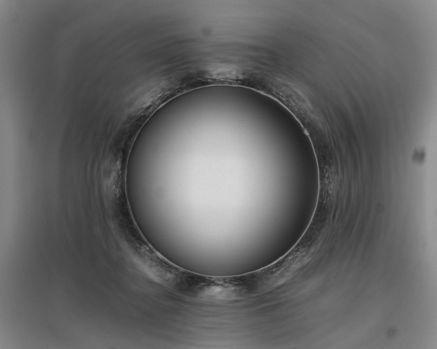 X0000096980364200802151335