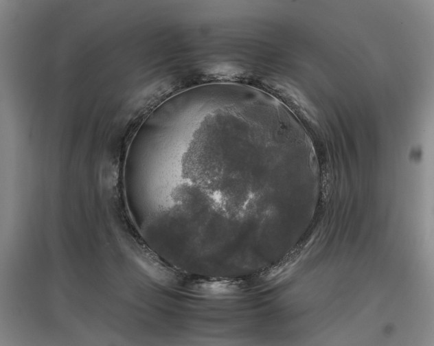 X0000096980365200802151336