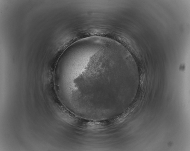 X0000096980367200802151336