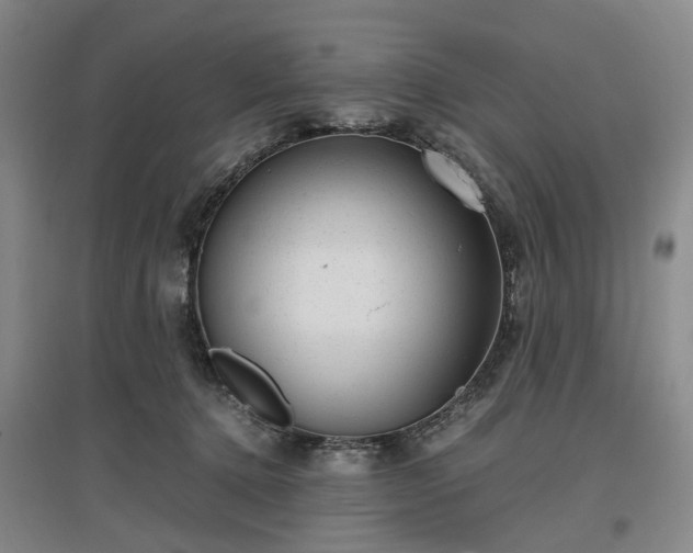 X0000096980368200802151336