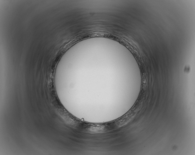 X0000096980369200802151336