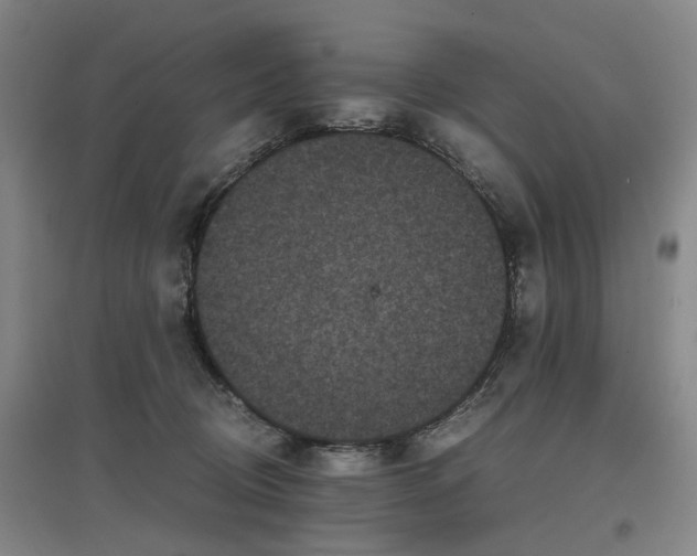 X0000096980370200802151336