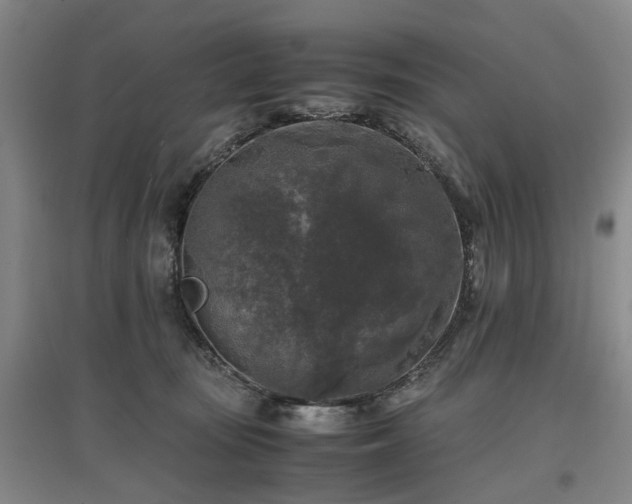 X0000096980371200802151336