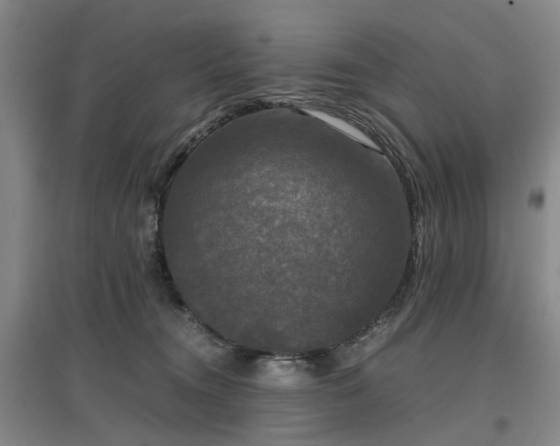 X0000096980372200802151336