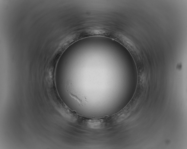 X0000096980373200802151336