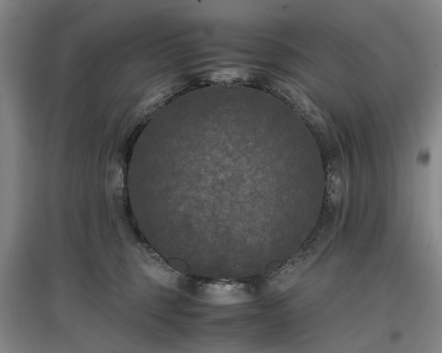 X0000096980375200802151336