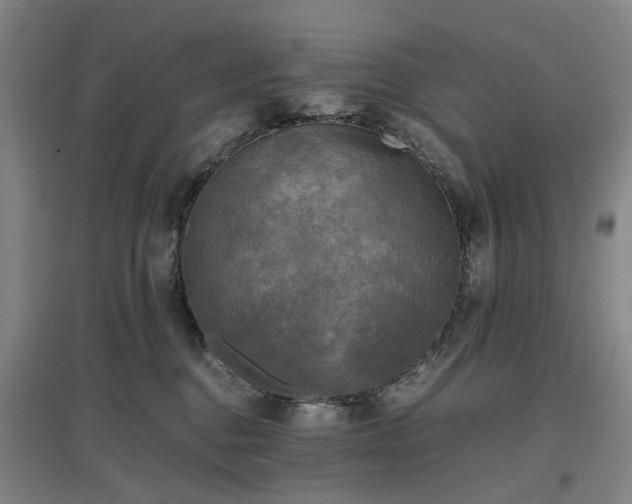 X0000096980376200802151336