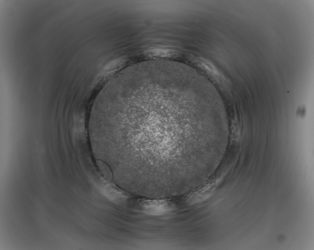 X0000096980377200802151336