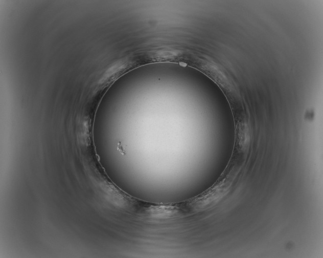 X0000096980378200802151336