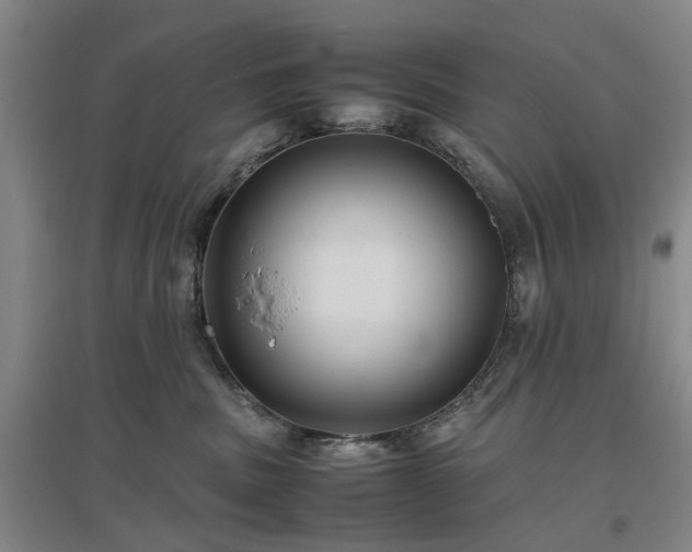 X0000096980379200802151336