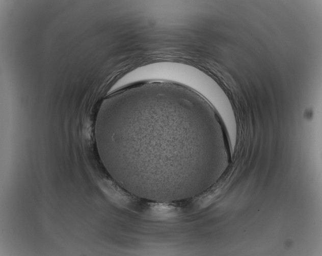 X0000096980380200802151336