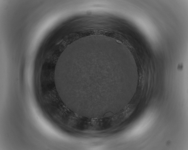 X0000096980383200802151336