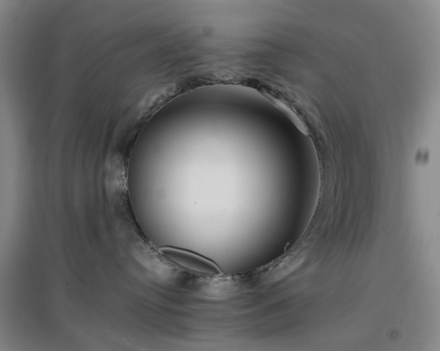 X0000096980384200802151336