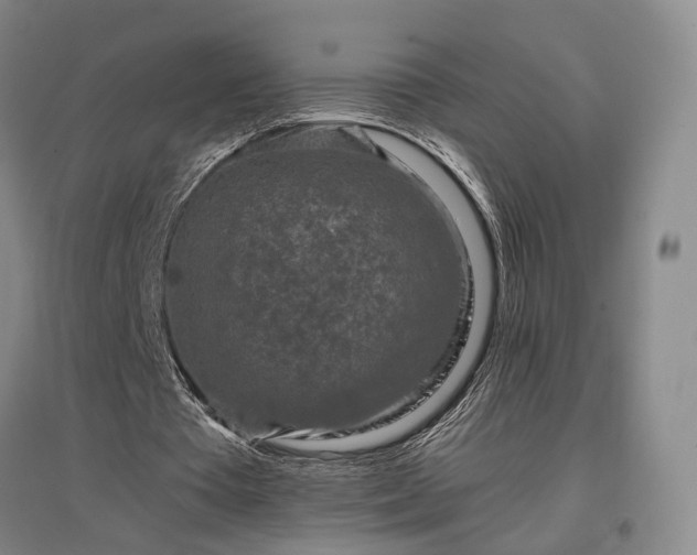 X0000096980385200802151335