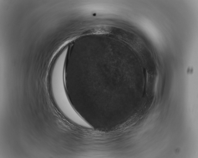 X0000096980387200802151335