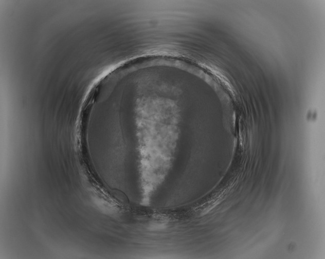 X0000096980388200802151335