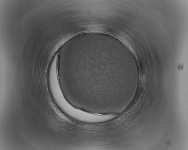 X0000096980389200802151335