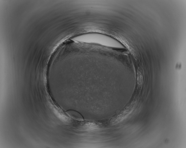 X0000096980390200802151335