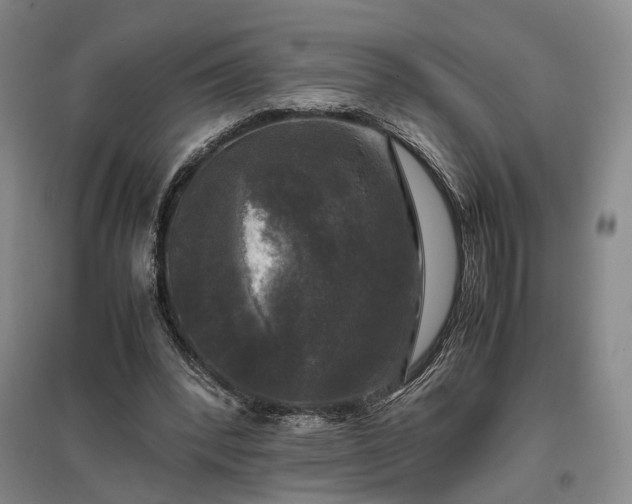 X0000096980392200802151335