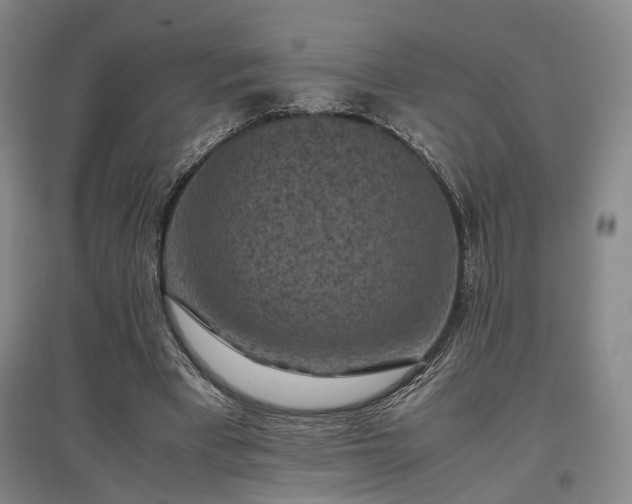 X0000096980393200802151335