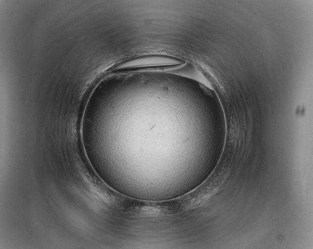 X0000096980394200802151335