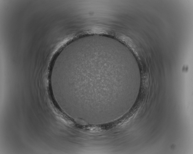 X0000096980395200802151335