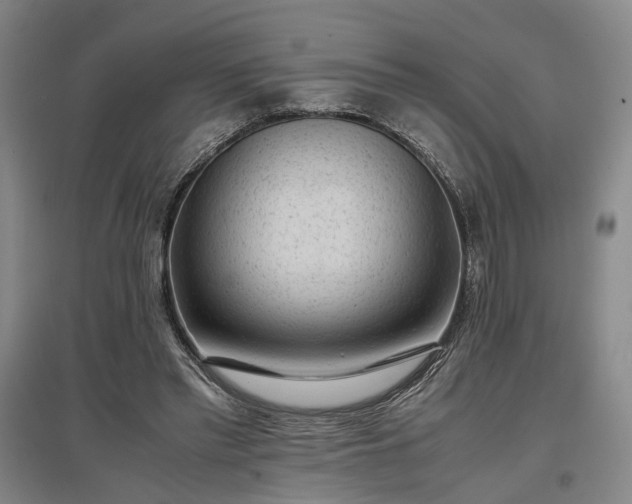 X0000096980397200802151335