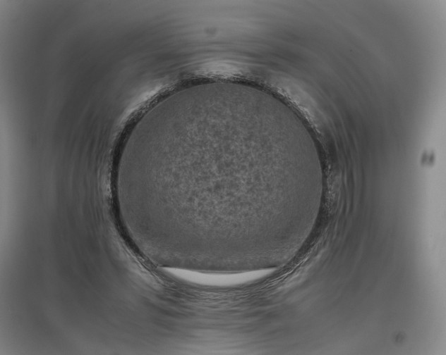 X0000096980399200802151335